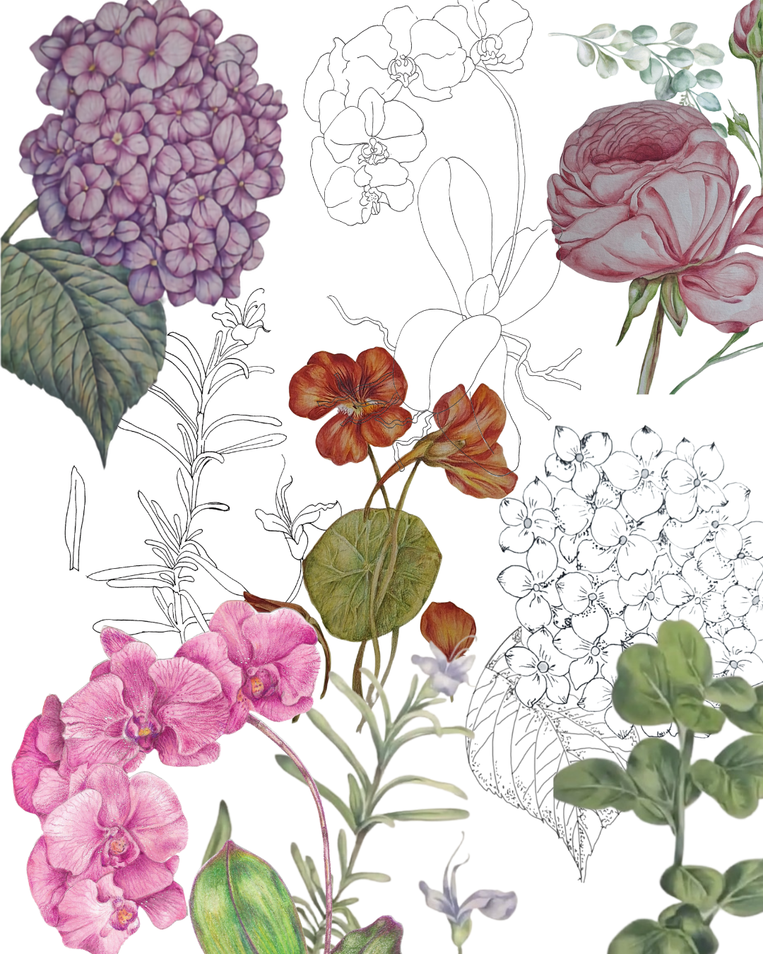 Acuarela para Principiantes + Cuaderno Botánico · Guía digital paso a paso - Image 5